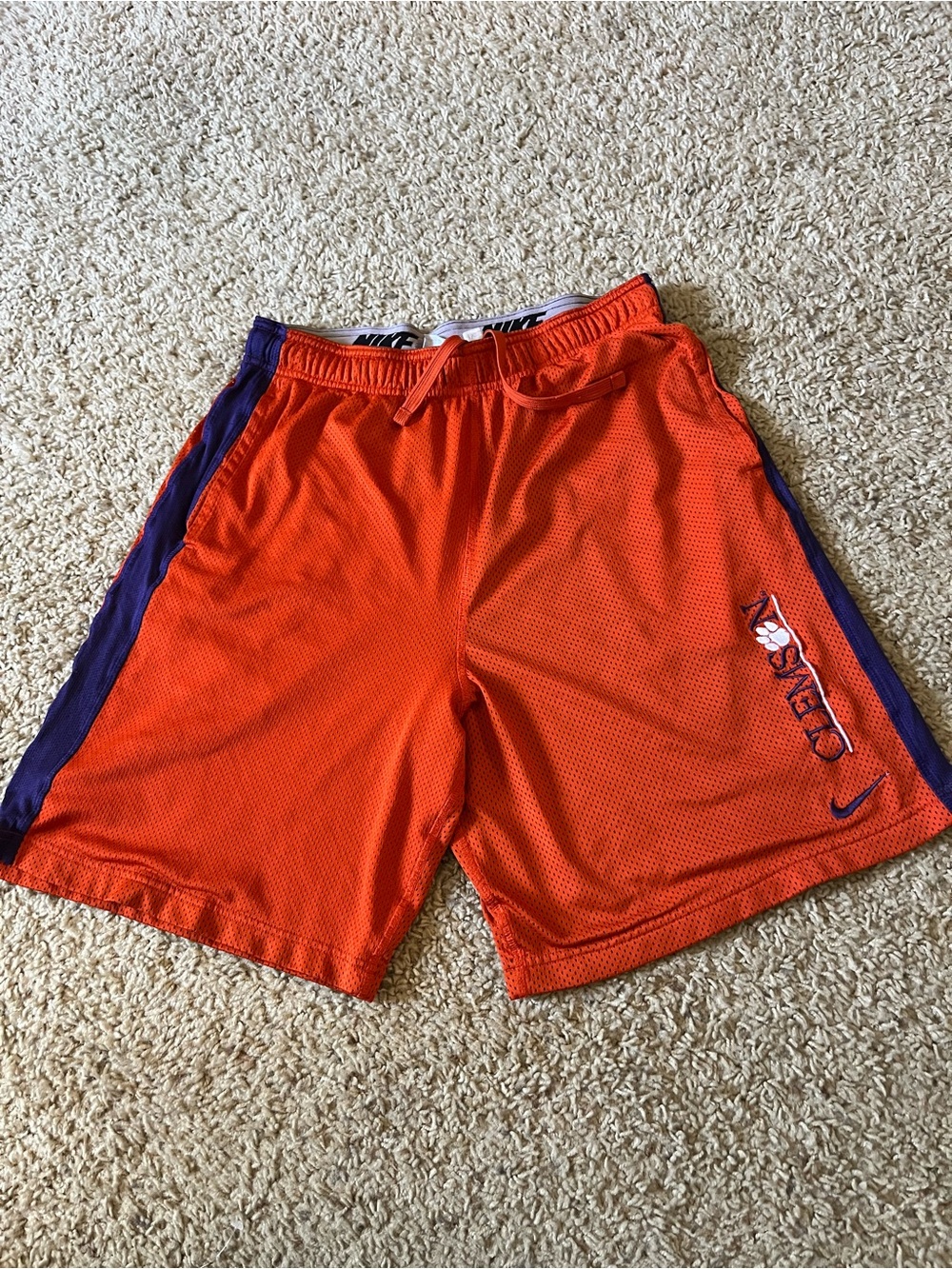 Nike Men’s Clemson Tigers Orange Basketball Shorts with Purple Trim